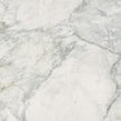 Leonardo White Carving 60cm x 60cm Wall and Floor Tile