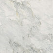 Leonardo White Carving 60cm x 60cm Wall and Floor Tile