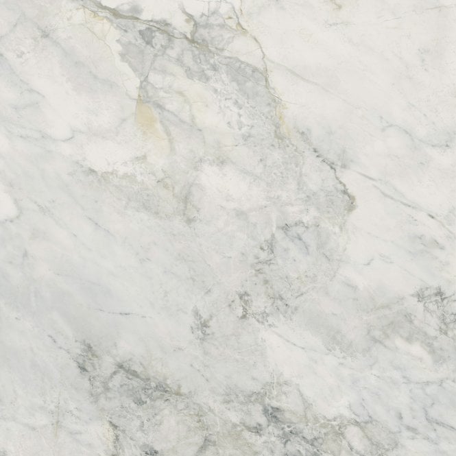 Leonardo White Carving 60cm x 60cm Wall and Floor Tile