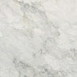 Leonardo White Carving 60cm x 60cm Wall and Floor Tile