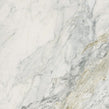 Leonardo White Carving 60cm x 60cm Wall and Floor Tile
