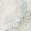 Leonardo White Carving 60cm x 60cm Wall and Floor Tile