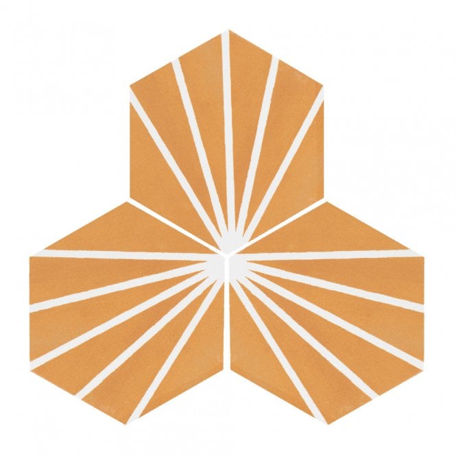 Lily Hex Hexagon Blaze Orange 22.8cm x 19.8cm Wall & Floor Tile