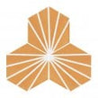 Lily Hex Hexagon Blaze Orange 22.8cm x 19.8cm Wall & Floor Tile