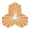 Lily Hex Hexagon Blaze Orange 22.8cm x 19.8cm Wall & Floor Tile
