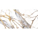 Linea D' Oro 60cm x 120cm Wall & Floor Tiles