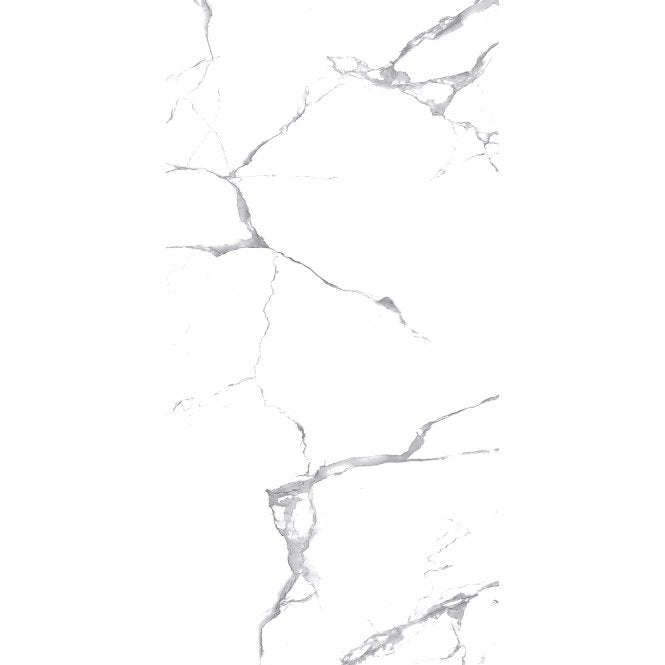 Lucido Satvario Marble-Effect 60cm x 120cm Wall and Floor Tile