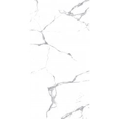 Lucido Satvario Marble-Effect 60cm x 120cm Wall and Floor Tile