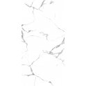 Lucido Satvario Marble-Effect 60cm x 120cm Wall and Floor Tile