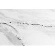 Lux Crystal Carrara 60cm x 60cm Wall & Floor Tile