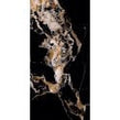 Melbourne Noir 60cm x 120cm Wall and Floor Tile