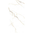 Melody Gold 60cm x 120cm Wall & Floor Tile