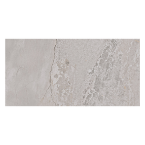 MetalShine Planet Grey 60cm x 120cm Wall and Floor Tile