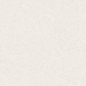 Micro Terrazzo Bone 60cm x 60cm Wall & Floor Tile