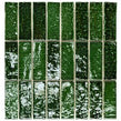 Minibru Crackle Jungle 33.7cm x 32.2cm Mosaic Tile