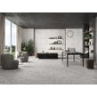 Mystical Bianco Virtue 60cm x 120cm Wall and Floor Tile