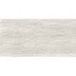 Mystical Bianco Virtue 60cm x 120cm Wall and Floor Tile