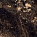 Mythical Black Wall & Floor Tile 60cm x 60cm