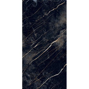Namibia Black 60cm x 120cm Wall & Floor Tile