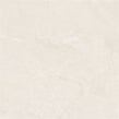 Novapetra Light Grey 60cm x 60cm Wall & Floor Tile