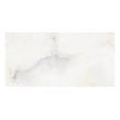 Onyx Moon 40cm x 80cm Wall & Floor Tile