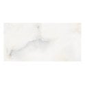 Onyx Moon 40cm x 80cm Wall & Floor Tile