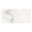 Onyx Moon 40cm x 80cm Wall & Floor Tile