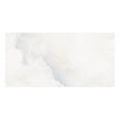 Onyx Moon 40cm x 80cm Wall & Floor Tile