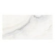 Onyx Moon 40cm x 80cm Wall & Floor Tile
