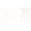 Onyx White 60cm x 120cm Wall & Floor Tile