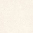 Padova Bone 120cm x 120cm Floor Tile