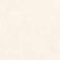 Padova Bone 120cm x 120cm Floor Tile