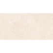 Padova Bone 60cm x 120cm Wall and Floor Tile