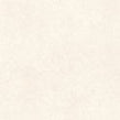 Padova Bone 60cm x 60cm Wall and Floor Tile