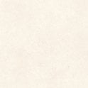 Padova Bone 60cm x 60cm Wall and Floor Tile