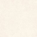 Padova Bone 60cm x 60cm Wall and Floor Tile