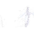 Palatina Blanco Brillo 33cm x 55cm Wall Tile