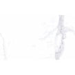 Palatina Blanco Brillo 33cm x 55cm Wall Tile
