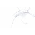 Palatina Blanco Brillo 33cm x 55cm Wall Tile