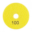 Panther Polishing Pad 100mm#100 Grit