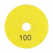 Panther Polishing Pad 100mm#100 Grit