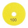 Panther Polishing Pad 100mm#100 Grit