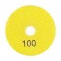 Panther Polishing Pad 100mm#100 Grit