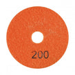 Panther Polishing Pad 100mm#200 Grit