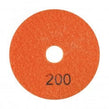Panther Polishing Pad 100mm#200 Grit