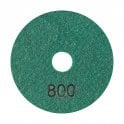 Panther Polishing Pad 100mm#800 Grit