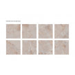 Paradise Rose Onyx 60cm x 60cm Wall & Floor