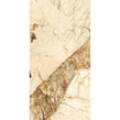 Patagonia Classic Polished Wall & Floor Tile 60cm x 120cm