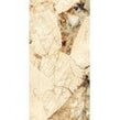 Patagonia Classic Polished Wall & Floor Tile 60cm x 120cm