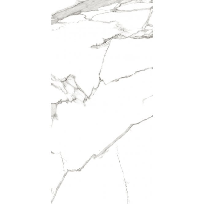 Pearl Satvario 80cm x 160cm Wall & Floor Tile